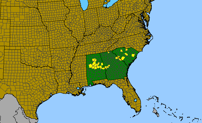 The range of Hymenocallis coronaria